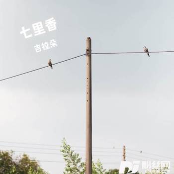 七里香女声版的专辑