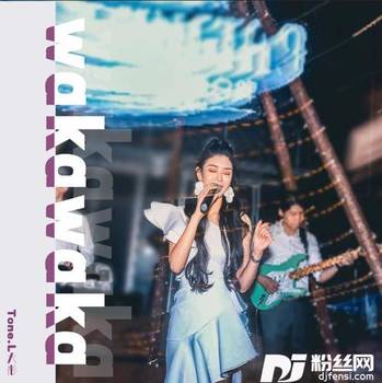 WakaWaka世界杯主题曲的专辑