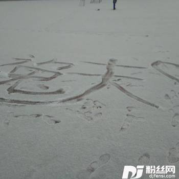 无名的专辑