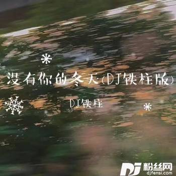 没有你的冬天DJ铁柱版的专辑