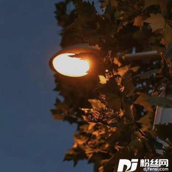 LettingGocover:汪苏泷|吉克隽逸的专辑