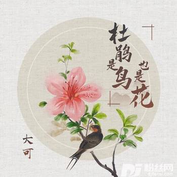 杜鹃是鸟也是花的专辑