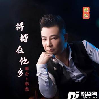 拼搏在他乡DJ小鹏版的专辑