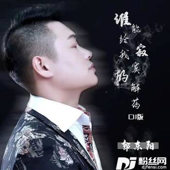 谁能给我寂寞的解药DJ沈念版的专辑