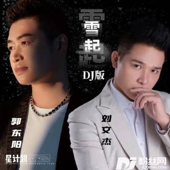 雪起DJ版的专辑