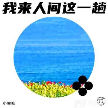 我来人间这一趟cover:安儿陈的专辑