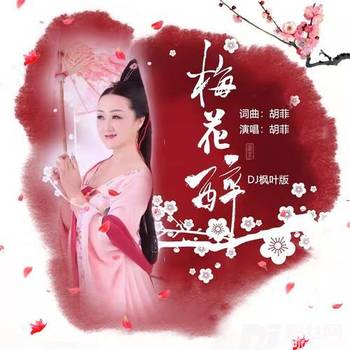梅花醉（DJ枫叶版）的专辑
