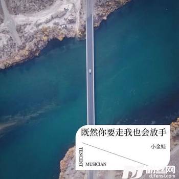 既然你要走我也会放手DJ默涵版cover:王爱华的专辑