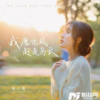 我愿化风赶走乌云DJ九零版的专辑