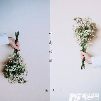 可是姑娘的专辑