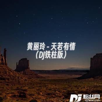 天若有情DJ铁柱版的专辑