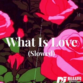 WhatIsLoveSlowed的专辑