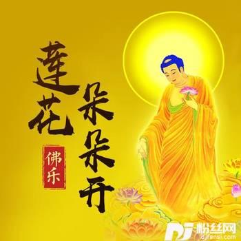 戒的专辑