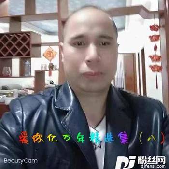 一半疯了一半算了的专辑