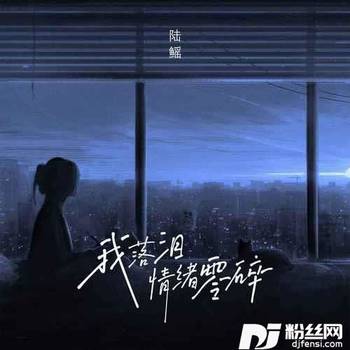 我落泪情绪零碎的专辑