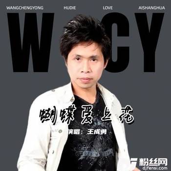 蝴蝶爱上花（独唱版）的专辑
