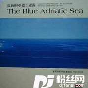 森林水车的专辑