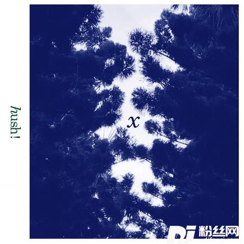 X的专辑