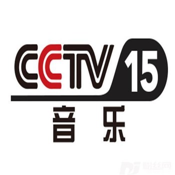 夜空中最亮的星CCTV音乐频道的专辑