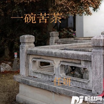 一碗苦茶的专辑