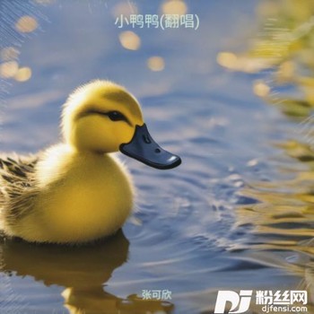 小鸭鸭cover:蓝迪的专辑
