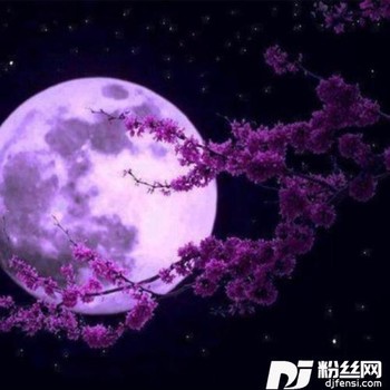 留住这一刻cover:楽半湾的专辑
