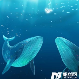 鲸落海底的专辑