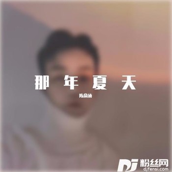 那年夏天的专辑