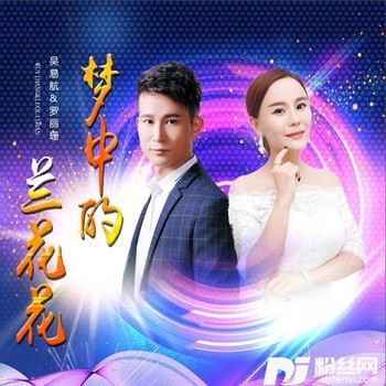 梦中的兰花花的专辑