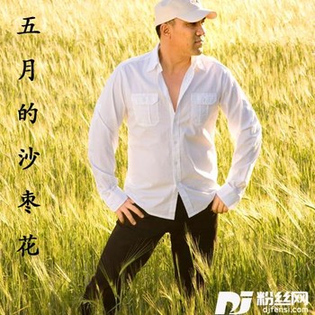 了了歌的专辑
