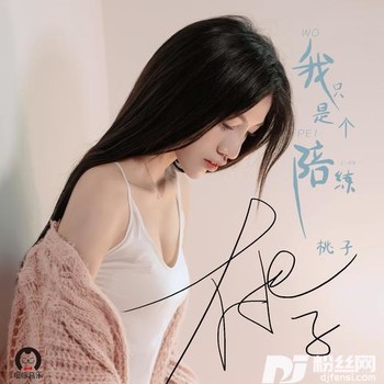 我只是个陪练DJ默涵版的专辑