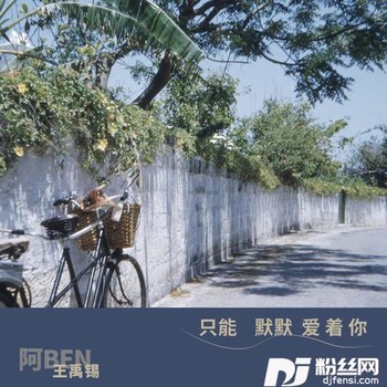 只能默默爱着你的专辑