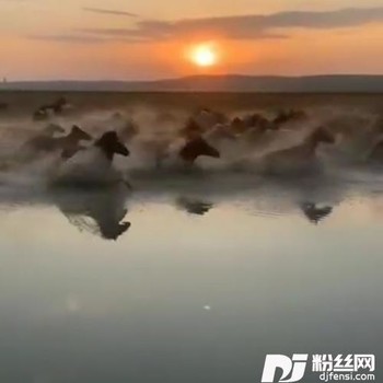 不是孤雁cover:齐旦布的专辑