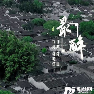 最醉家乡的榕树的专辑