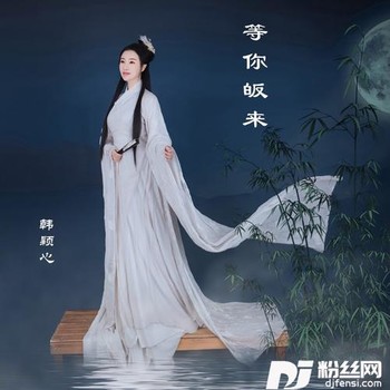 等你皈来的专辑