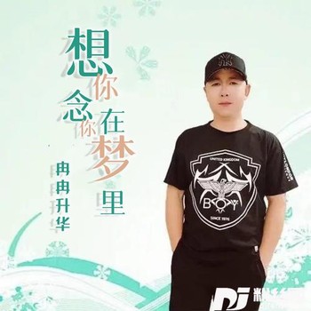 想你念你在梦里吉特巴的专辑