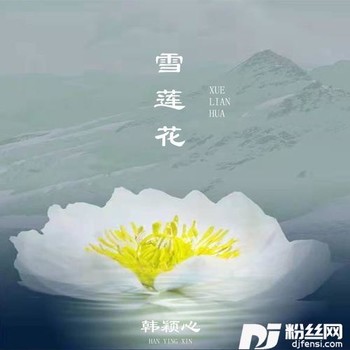 雪莲花DJ的专辑