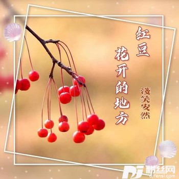 红豆花开的地方cover:陈瑞的专辑